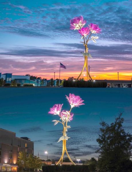 玫瑰雕塑艺术_玫瑰雕塑如何摆放