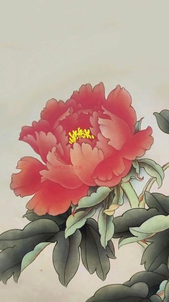 国画牡丹怎么画_牡丹国画技法步骤