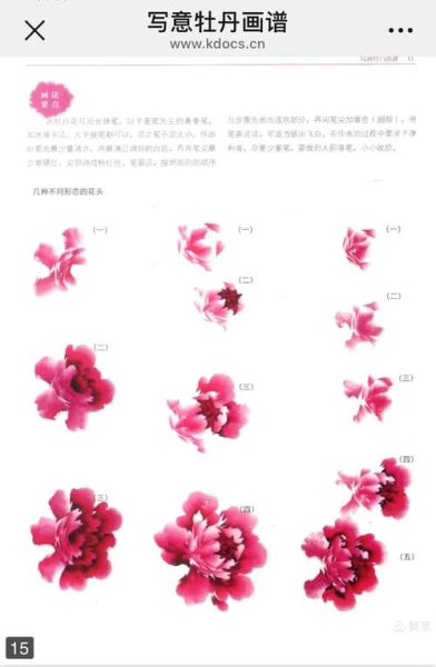 国画牡丹怎么画_牡丹国画技法步骤