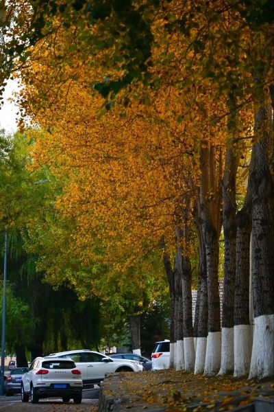 小县城秋天有什么好玩的_秋天适合去哪里拍照