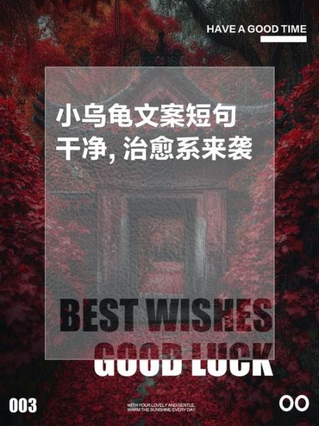 艺术乌龟文案怎么写_如何打动年轻消费者