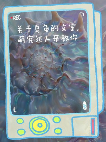 艺术乌龟文案怎么写_如何打动年轻消费者