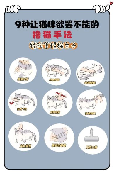 猫咪为什么喜欢被撸_怎么撸猫才舒服